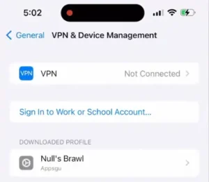 Nulls Brawl iOS IPA 5 Perfil da Nulls Brawl IPA
